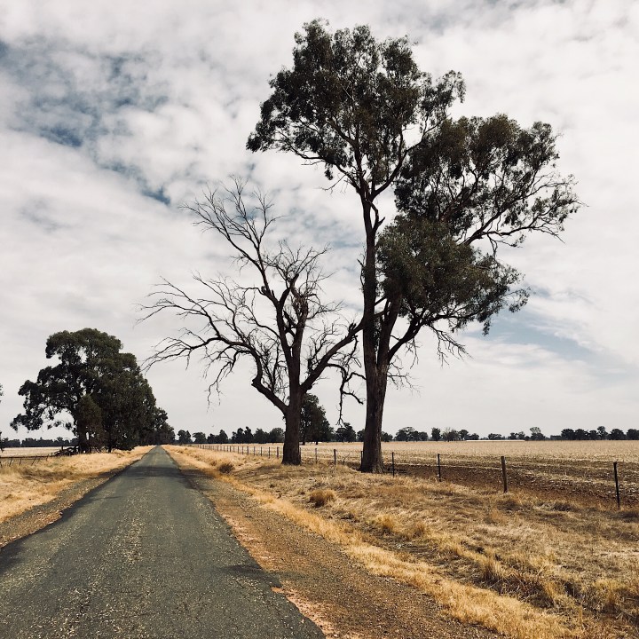 Visitors from England