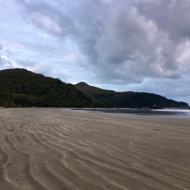 Casuarina Beach, Cape Hillsborough, Queensland, Australia.