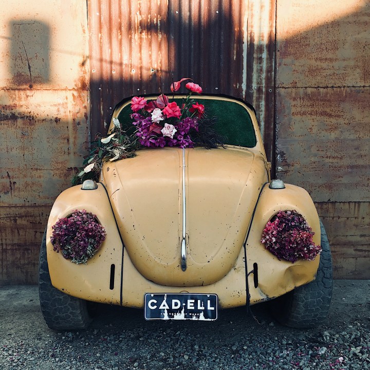 Floral installation in Cadell Place as part of the Lost Lanes festival in Wagga Wagga, New South Wales, Australia.