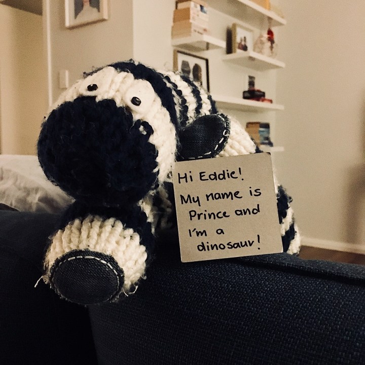 Knitted dinosaur toy holding note.