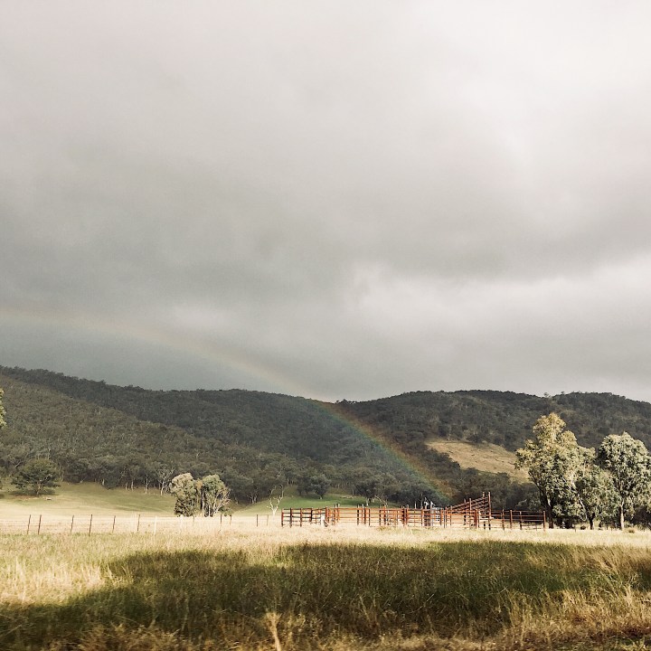 The art of the&nbsp;compliment