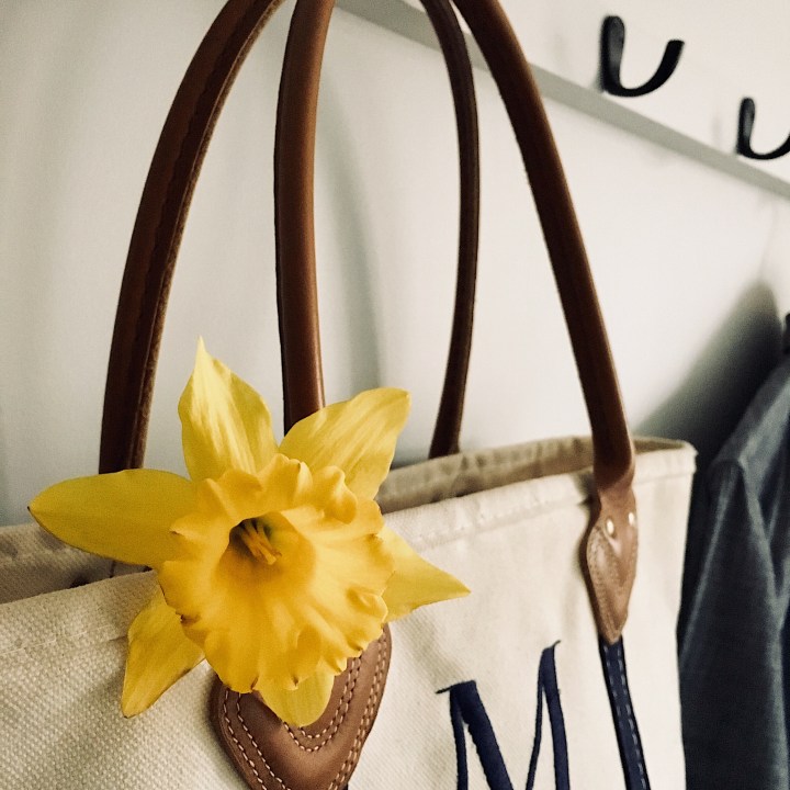 Daffodil poking out of a canvas bag hanging on a coat rack.