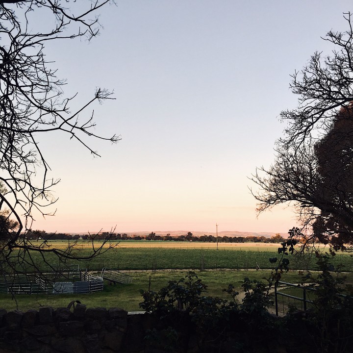 Sunset in early spring on property near Wagga Wagga, New South Wales, Australia.