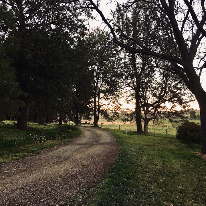 Driveway on property near Wagga Wagga, New South Wales, Australia.
