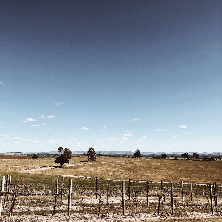 View over countryside from Cottontails Winery near Wagga Wagga, New South Wales, Australia.