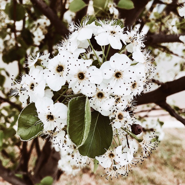 The countdown begins