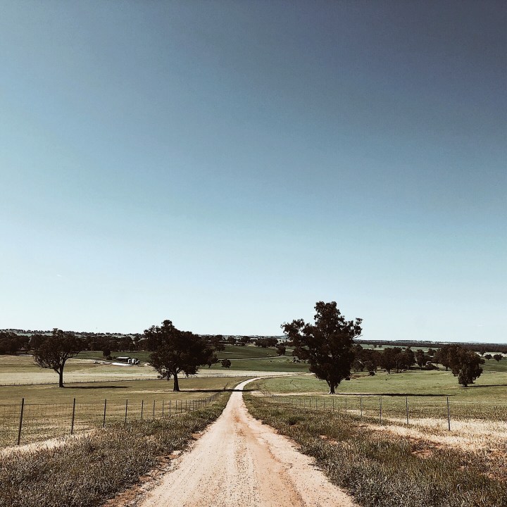 The road to Morgan's lookout, Walla Walla, New South Wales, Australia.