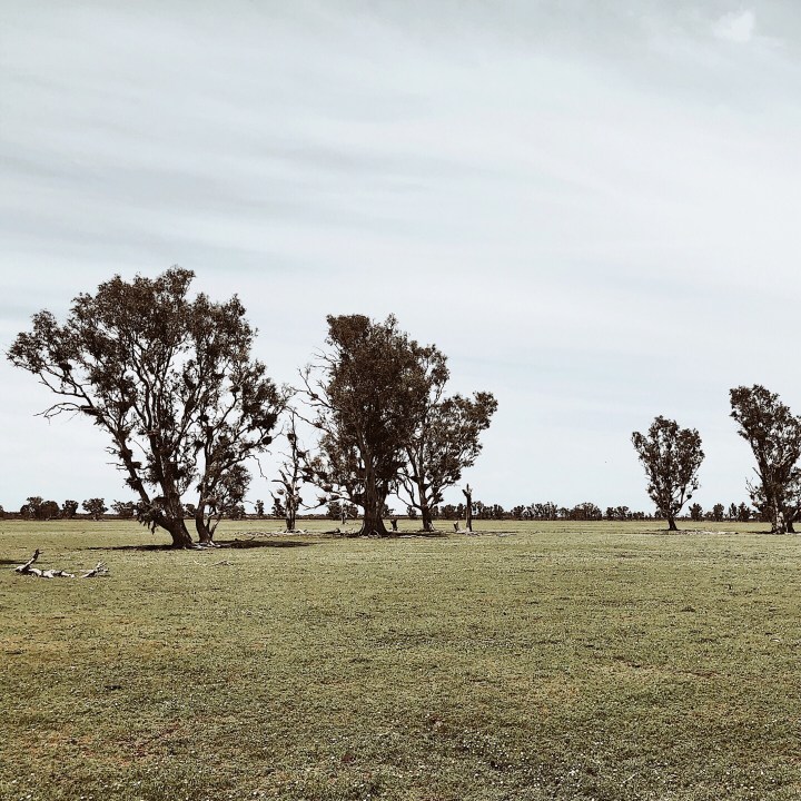 Dry lake bed in the Nimmie-Caira wetland, New South Wales, Australia.