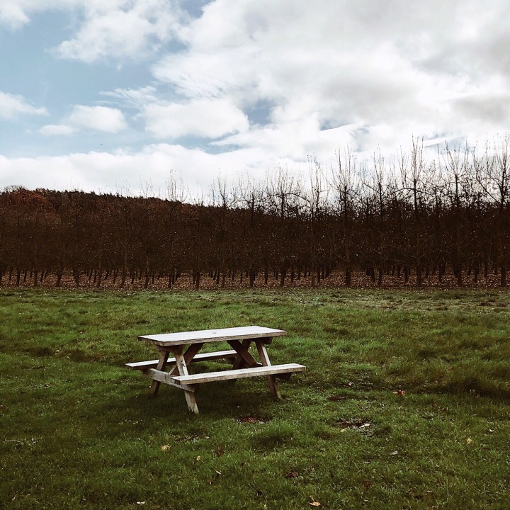 Picnic table near a bare orchard in Worcestershire, England.