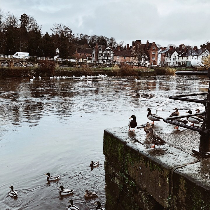 The River Severn at Bewdley, Worcestershire, United Kingdom.
