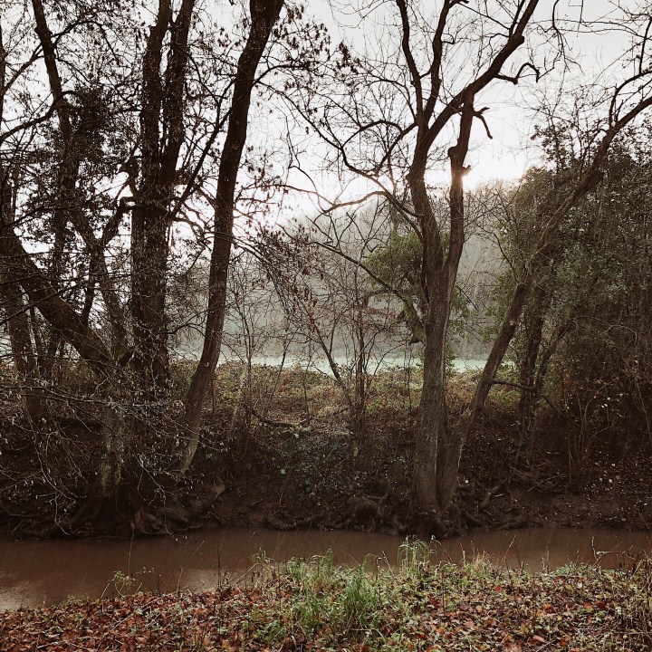 Dowles Brook near Bewdley, Worcestershire, United Kingdom.