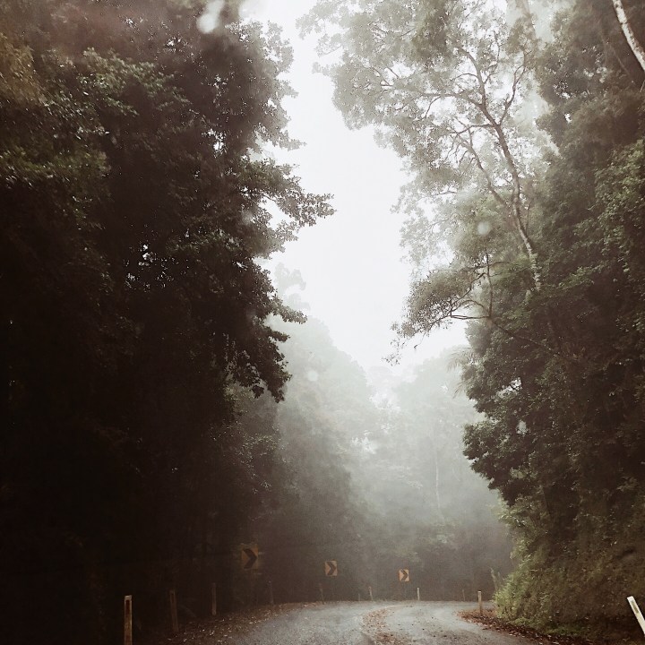 The road to Mt Glorious in Queensland, Australia.