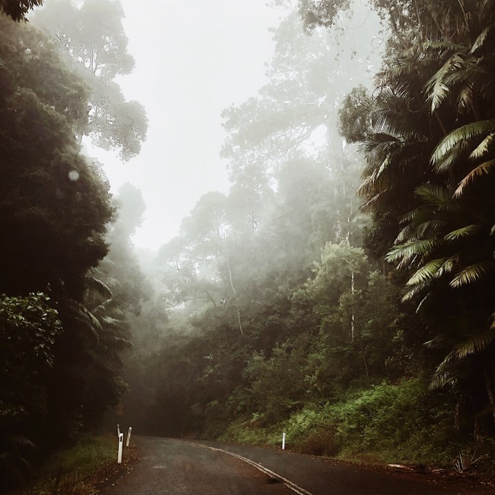 The road to Mt Glorious, Queensland, Australia.