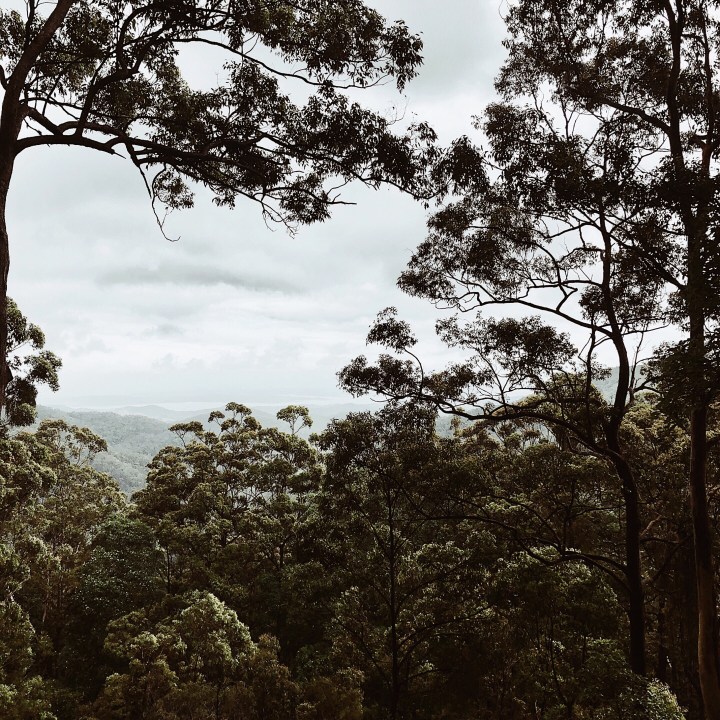 Outlook on the D'Aguilar Range looking towards Lake Wivenhoe, Queensland, Australia.