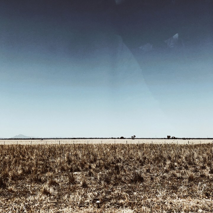 Plains in the Riverina region of New South Wales, Australia.