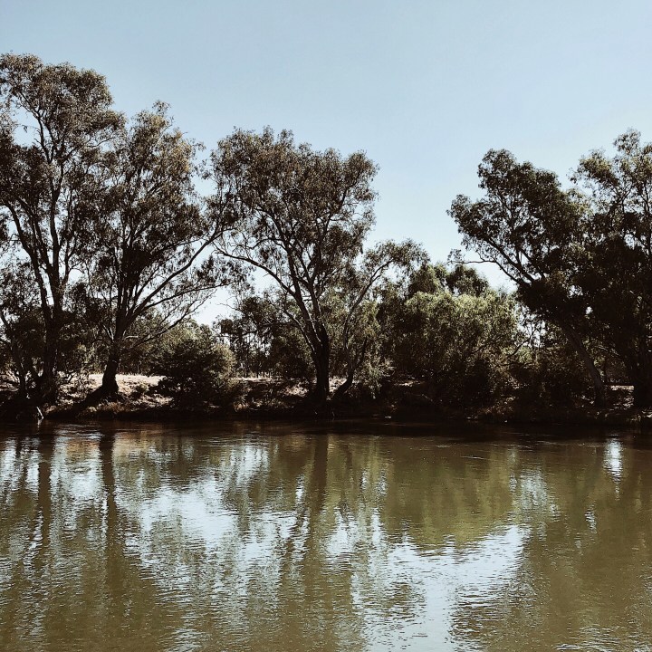 The Murray River at Albury.