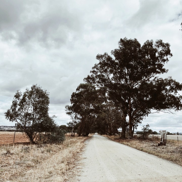 The week that&nbsp;was