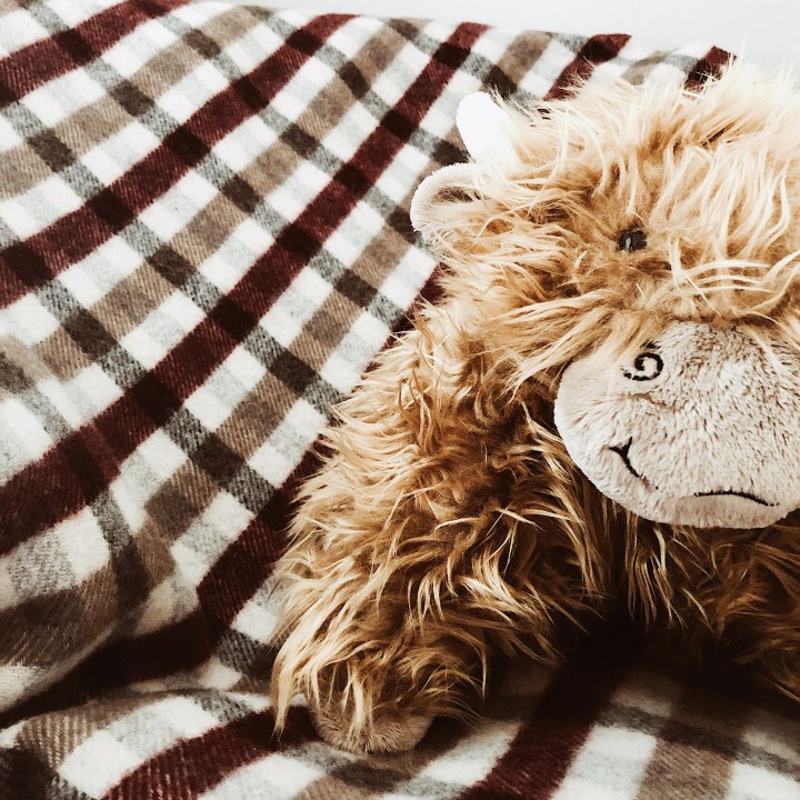 Stuffed Highland cow.