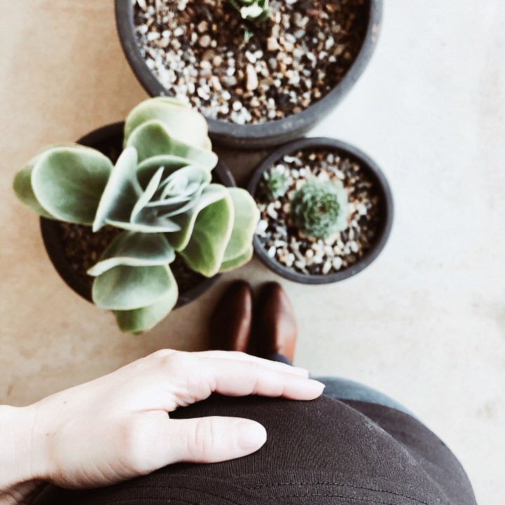 Pregnant woman with hand on belly standing near succulents.