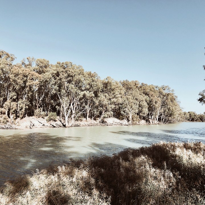 The week that&nbsp;was