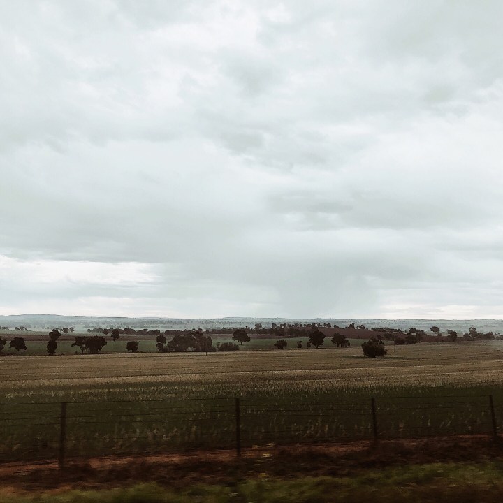 What’s making me happy:&nbsp;May