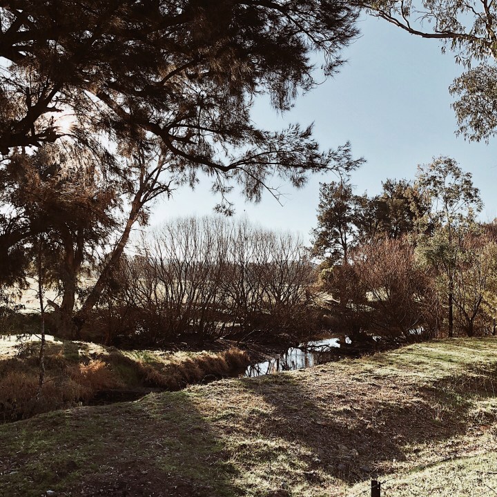 The banks of the Tumut River at Killimicat, New South Wales, Australia.