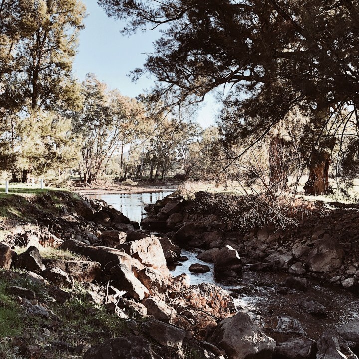 Nimbo Creek, Killimicat, New South Wales, Australia.
