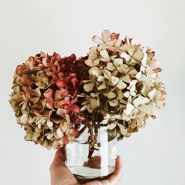 The week that&nbsp;was