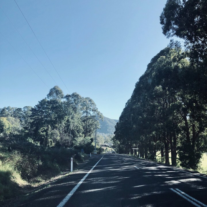 Driving in the Kangaroo Valley, New South Wales, Australia.