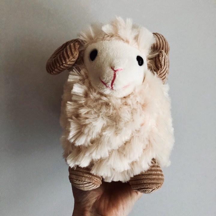 Toy sheep.
