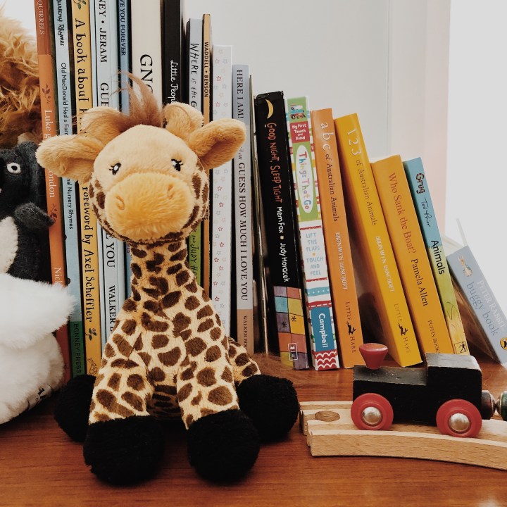 Giraffe toy, books and a wooden train.