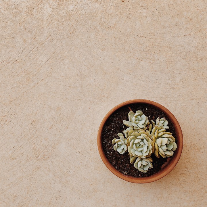 What’s making me happy:&nbsp;January