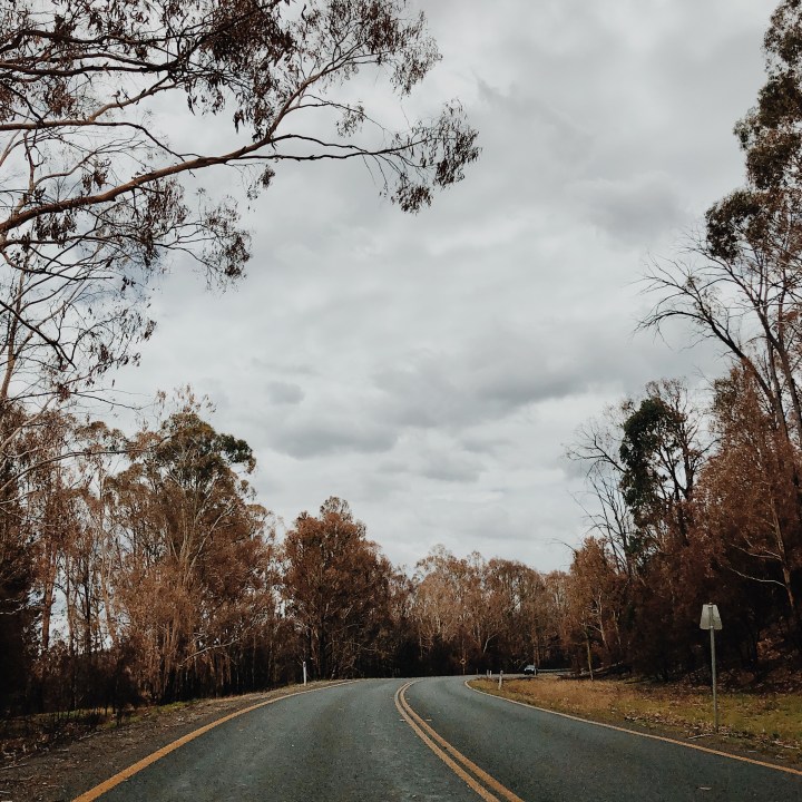 Burnt out bushland near Laurel Hill, New South Wales, Australia.