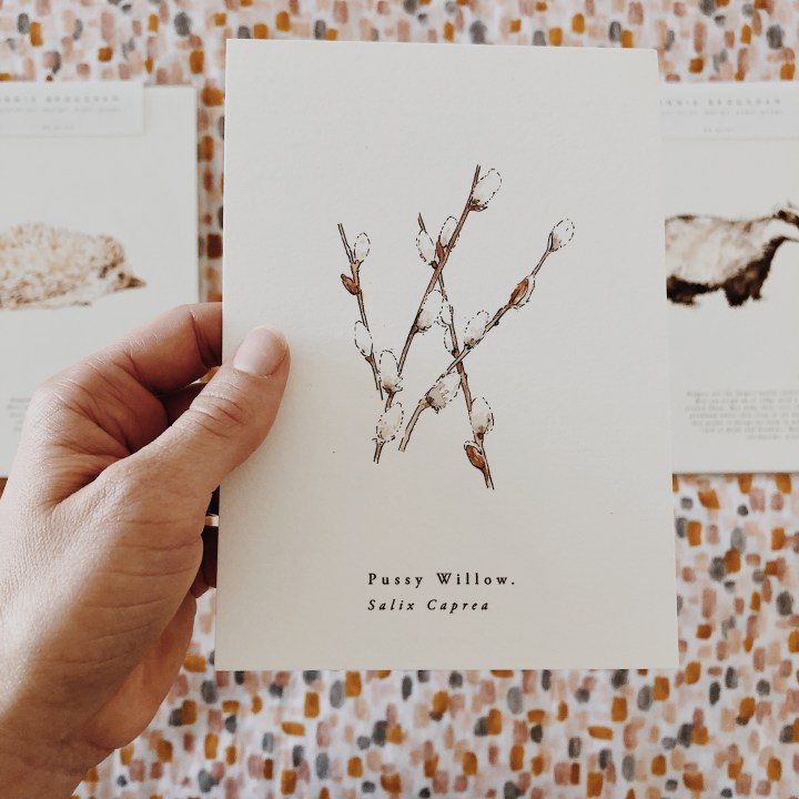 Hand holding an Annie Brougham illustrated card.