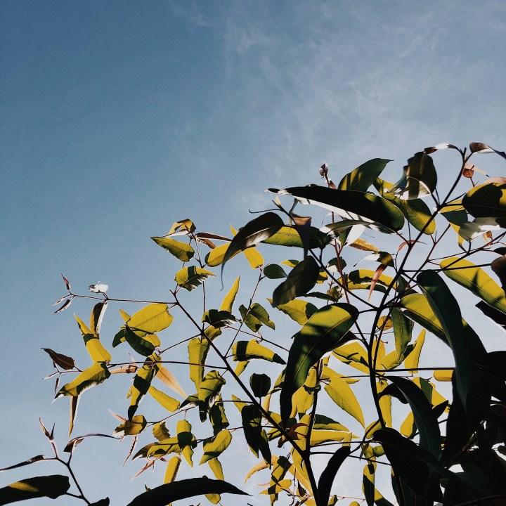 What’s making me happy:&nbsp;March