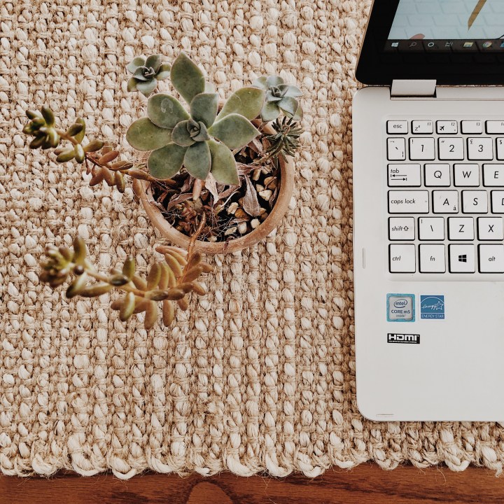 Laptop on jute table runner beside a pot of succulents.