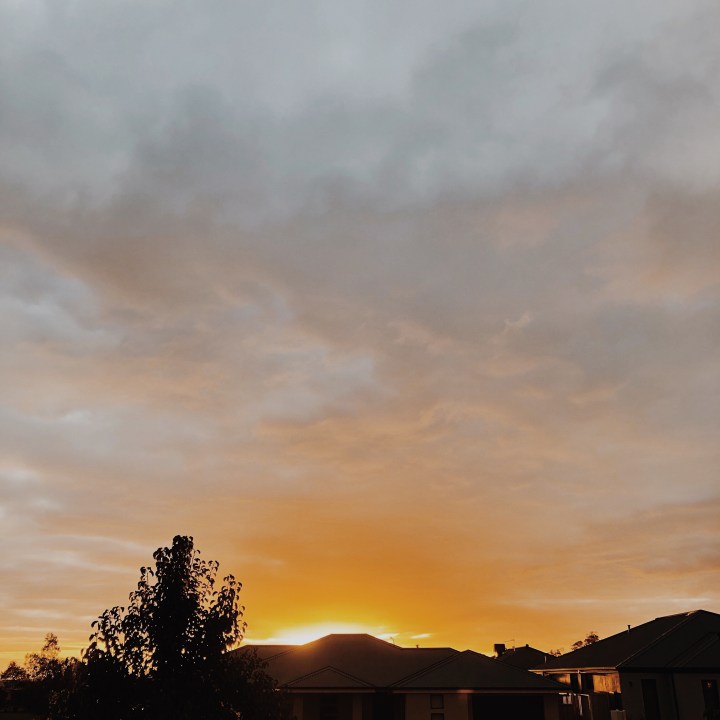 The week that&nbsp;was