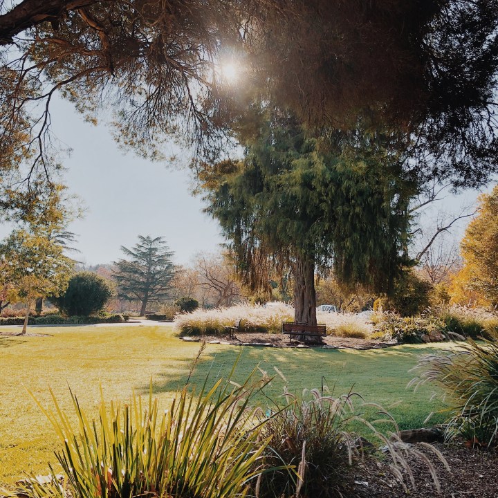 The Wagga Wagga Botanic Gardens.