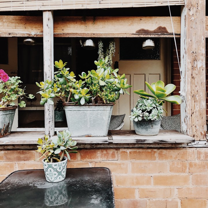 The enclosed garden at the Red Door Cafe in Narrandera, New South Wales, Australia. 