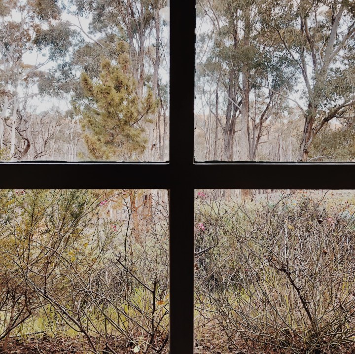 View of bushland from the Hillside Airbnb near Gundaroo, New South Wales, Australia.
