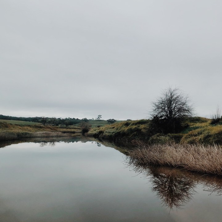 The Yass River near Gundaroo, New South Wales, Australia.