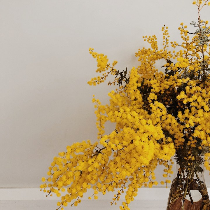 What’s making me happy:&nbsp;July