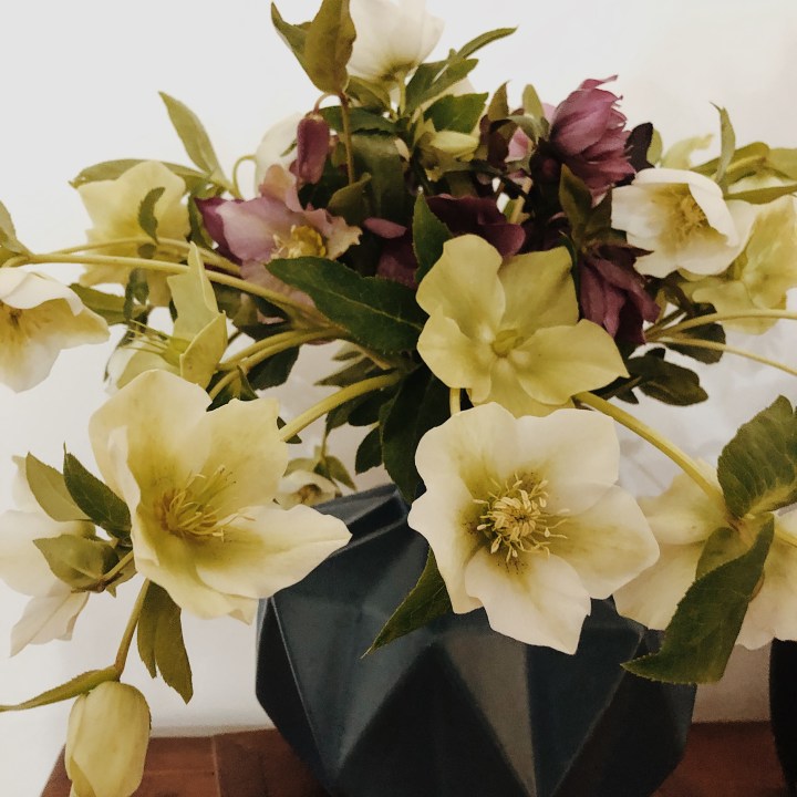 The week that&nbsp;was