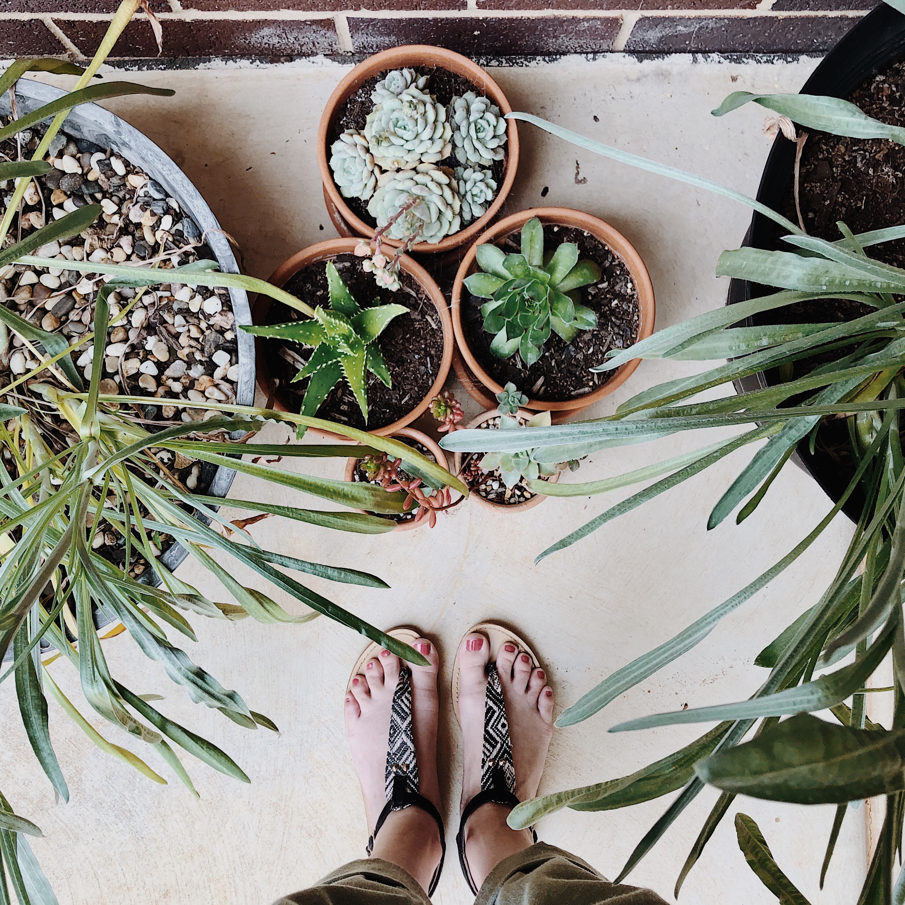 Looking down at a woman's feet in sandals surrounded by pot plants.