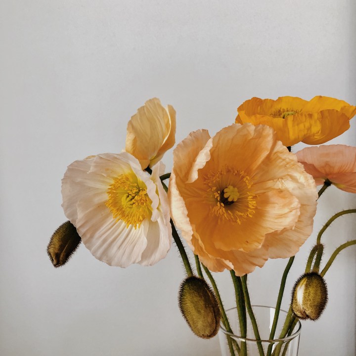 The week that&nbsp;was