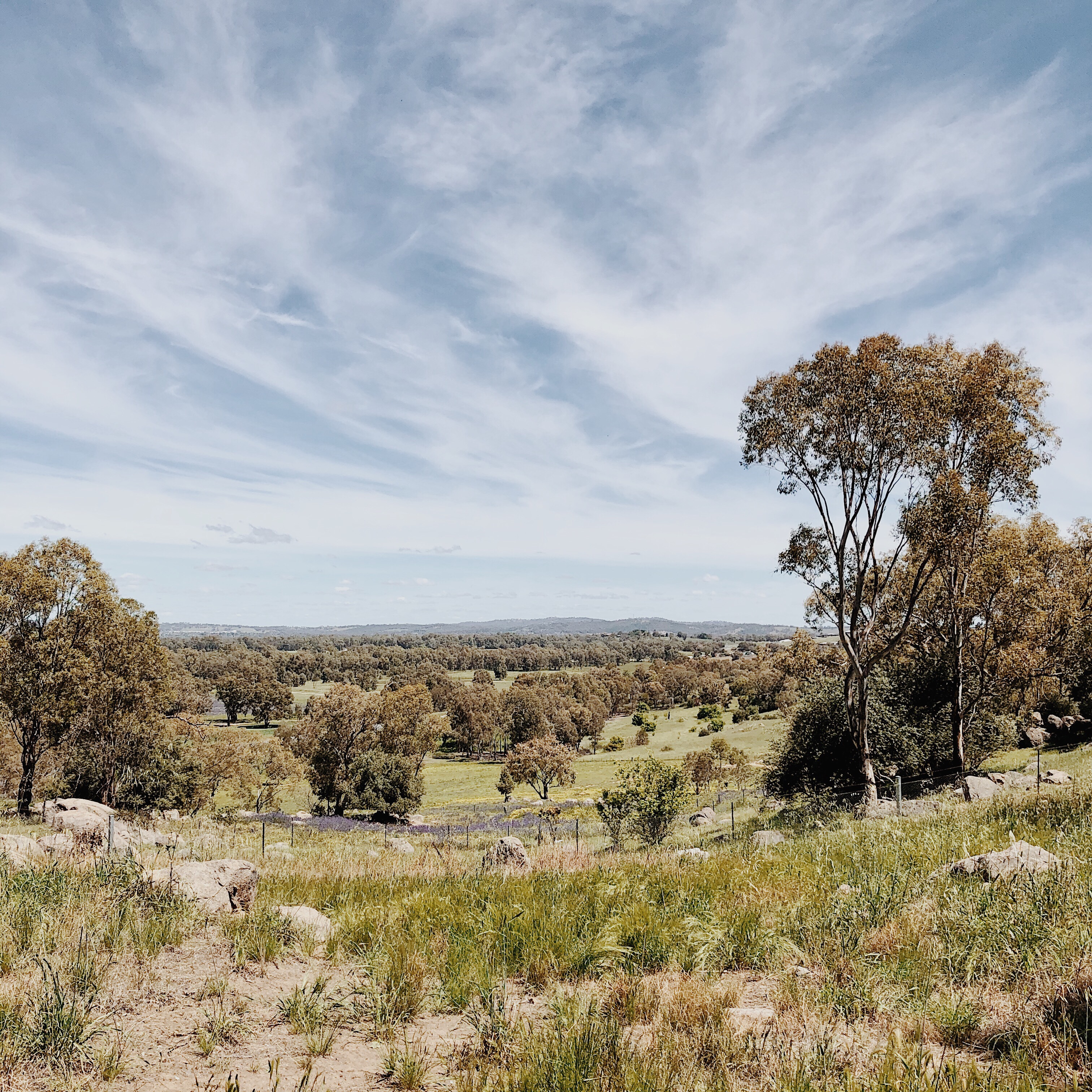View from Explorer Park, Wagga Wagga, New South Wales, Australia.