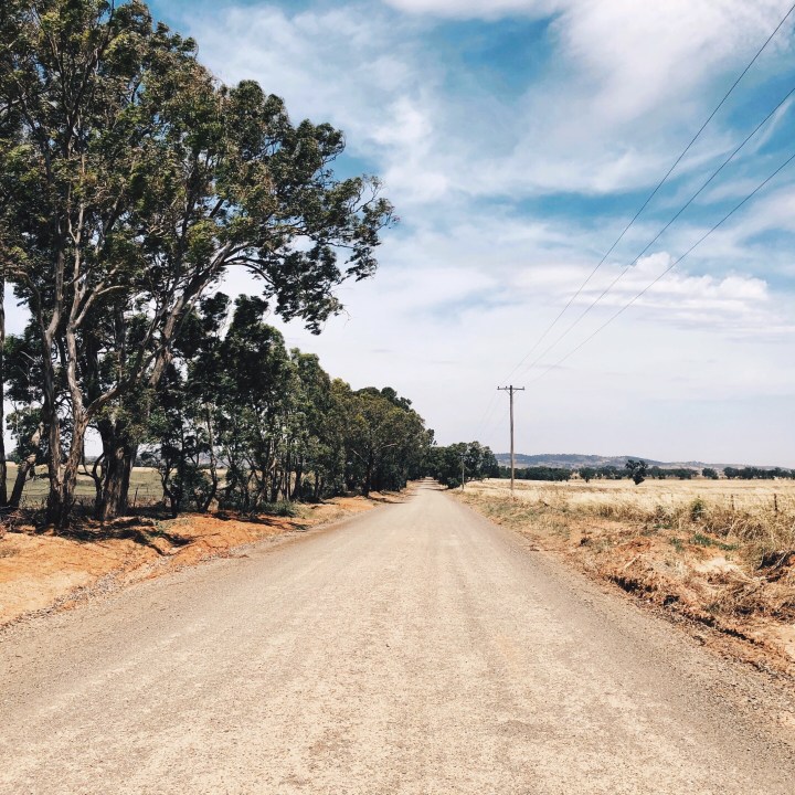 The week that&nbsp;was