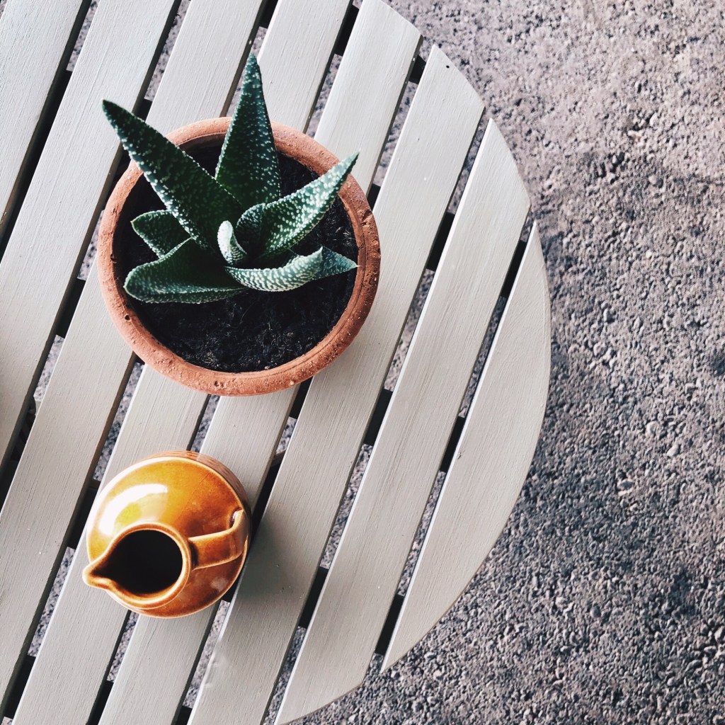 Milk jug and plant on a table at The Station Collective in Coolamon, New South Wales, Australia.
