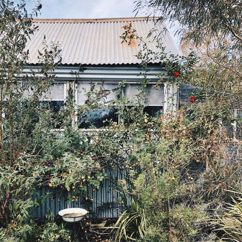 One of the garden sheds at Little Triffids Flowers in North Wagga, New South Wales, Australia.