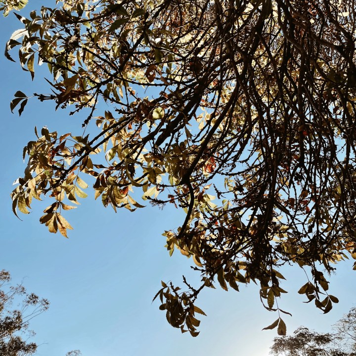 What’s been making me happy:&nbsp;April